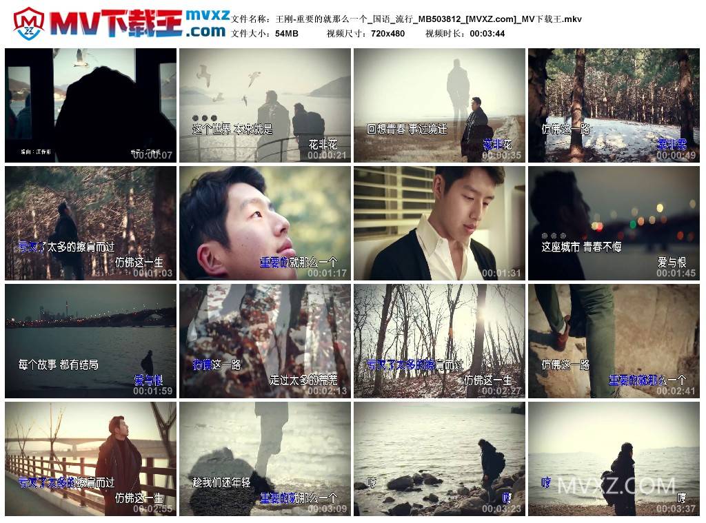王刚-重要的就那么一个_国语_流行_MB503812